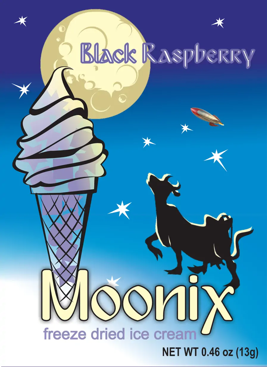 freeze dried black raspberry ice cream